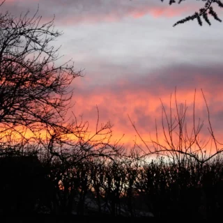 Sunrise at Lantern HQ this morning.